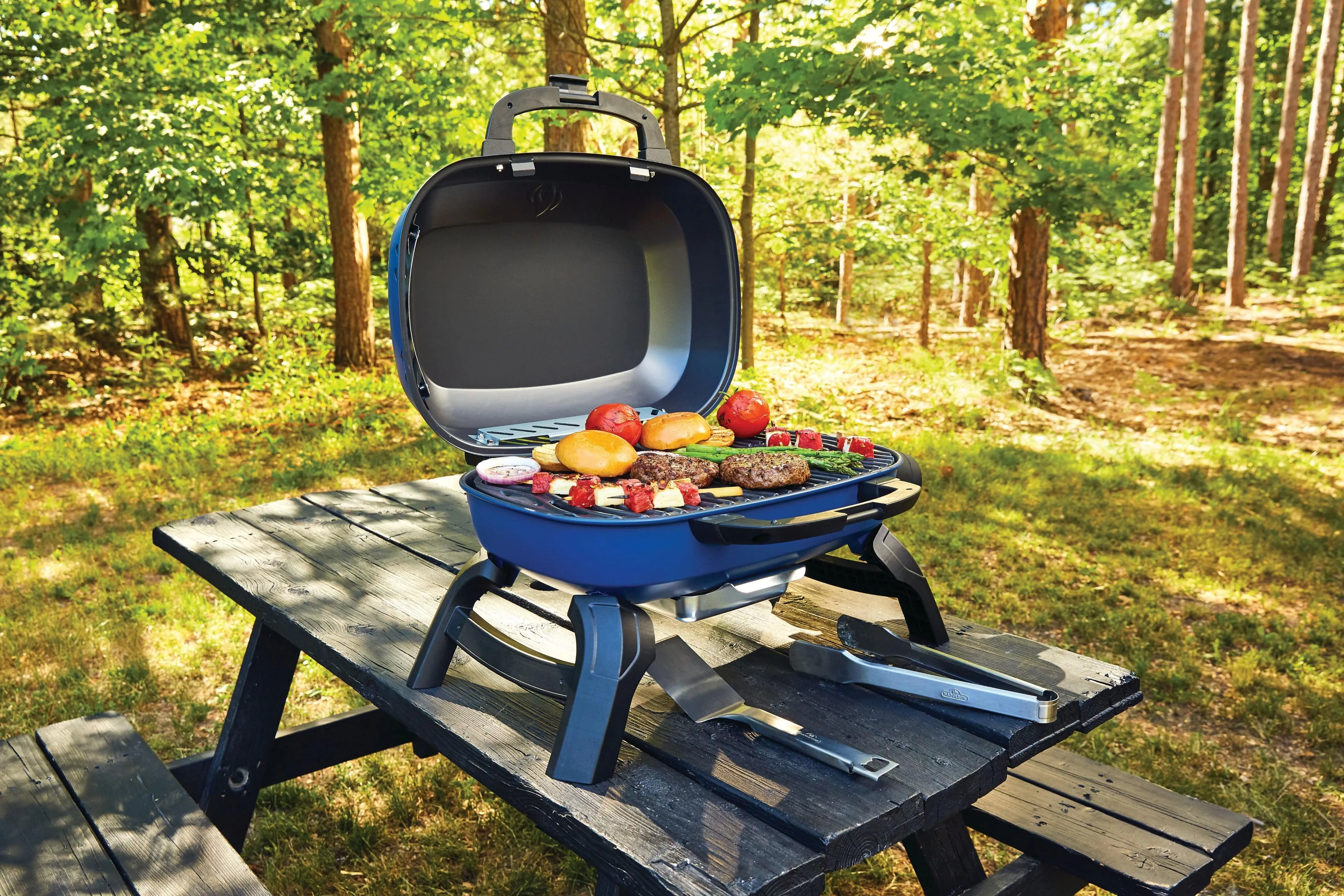 Napoleon TravelQ 240 Portable Propane BBQ TQ240-BL