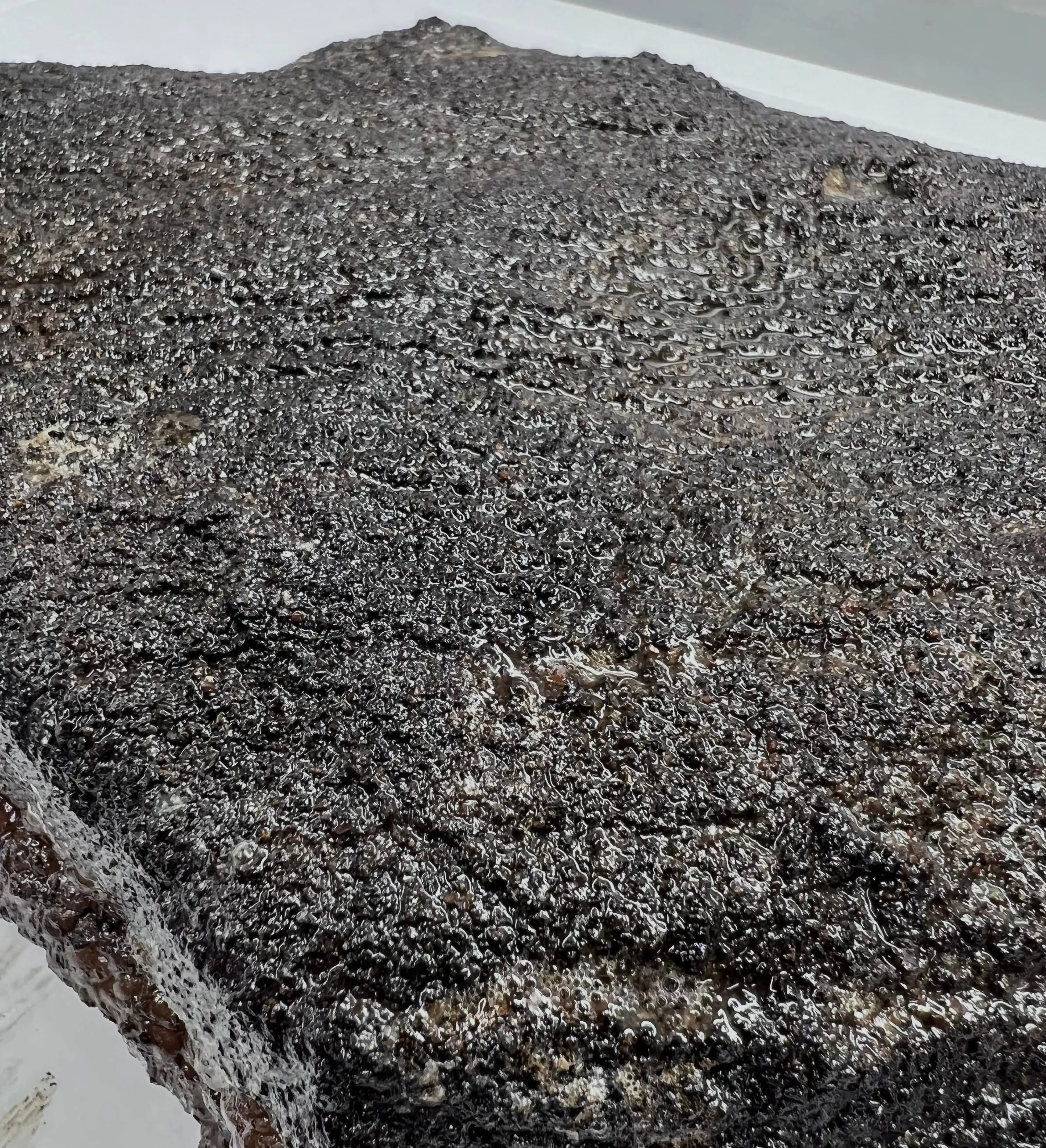 Texas Bark - SPG Rub / Seasoning